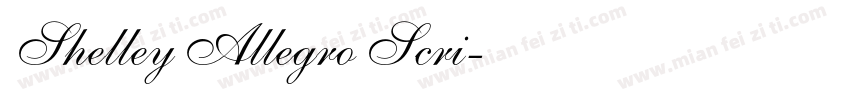 Shelley Allegro Scri字体转换
